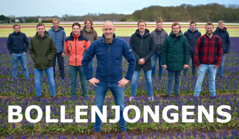 Ga naar de website van Bollenjongens